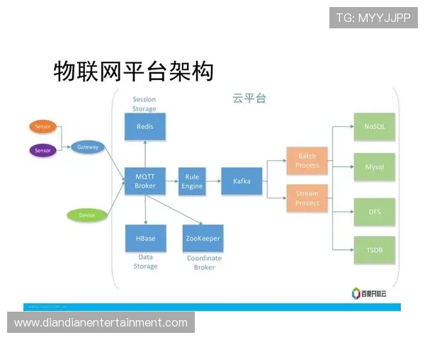 选择真人国际厅官网的五大理由让你在众多平台中脱颖而出